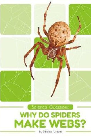 Cover of Why Do Spiders Make Webs?