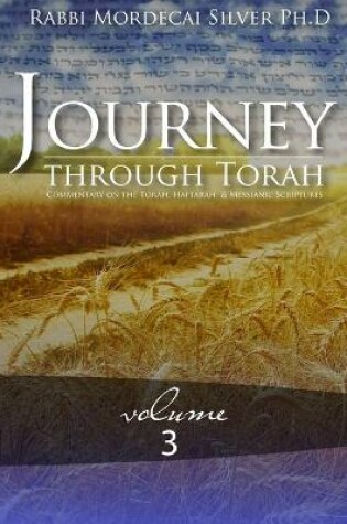 Cover of Journey Through Torah, Volume 3