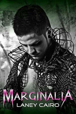 Cover of Marginalia