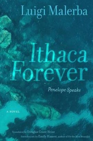 Cover of Ithaca Forever