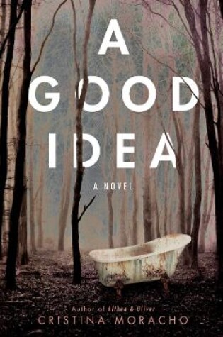 Cover of A Good Idea