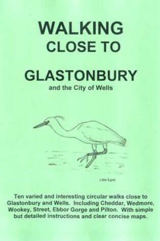 Cover of Walking Close to Glastonbury