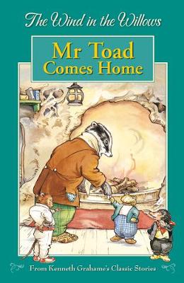 Book cover for Mr Toad Comes Home