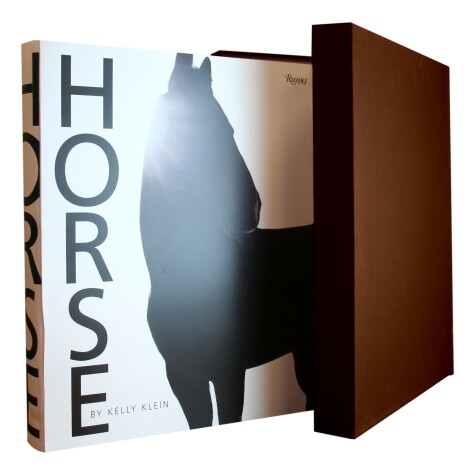 Book cover for Horse Deluxe