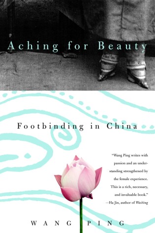 Cover of Aching for Beauty