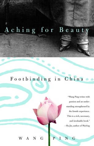 Book cover for Aching for Beauty