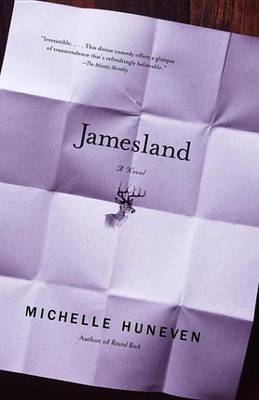 Book cover for Jamesland