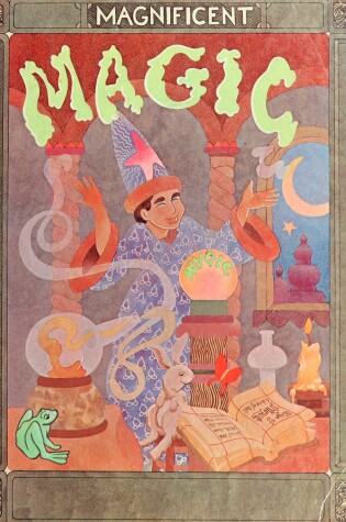 Cover of Magnificent Magic