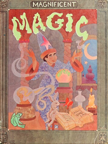 Book cover for Magnificent Magic