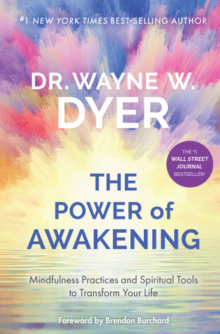 Book cover for Power of Awakening, The