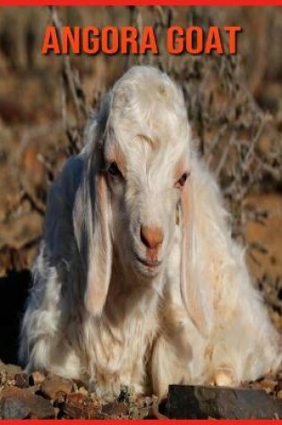 Cover of Angora Goat