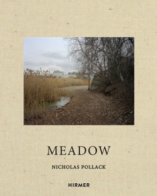 Book cover for Nicholas Pollack