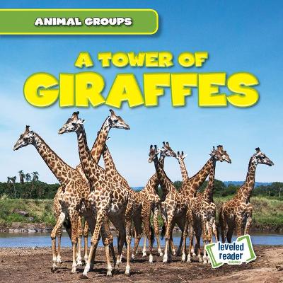 Cover of A Tower of Giraffes