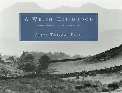 Book cover for A Welsh Childhood