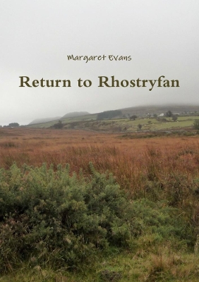 Book cover for Return to Rhostryfan