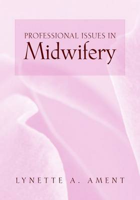 Cover of Professional Issues In Midwifery