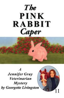 Book cover for The Pink Rabbit Caper