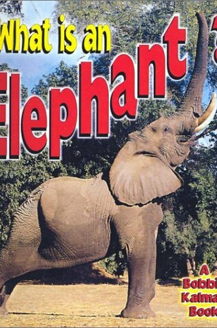 Cover of What Is an Elephant?