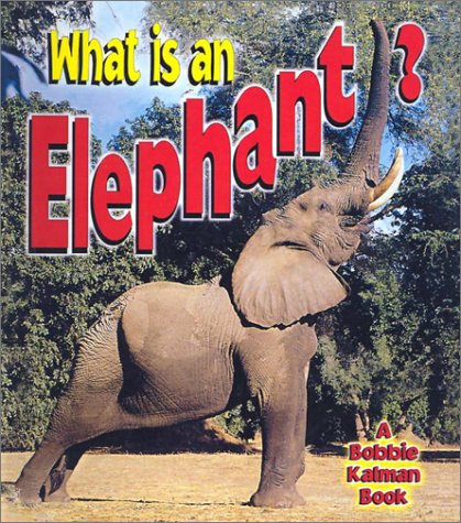Book cover for What Is an Elephant?