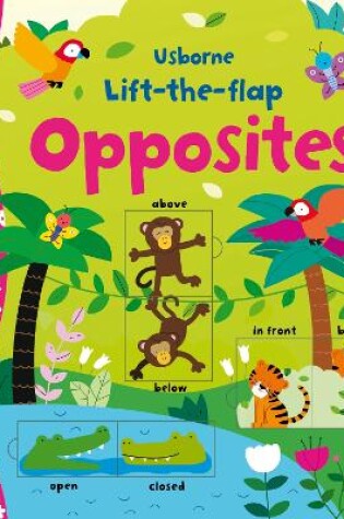 Cover of Lift-the-flap Opposites