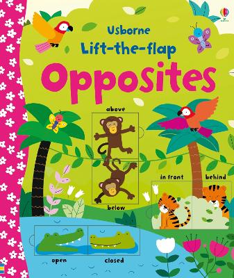 Book cover for Lift-the-flap Opposites