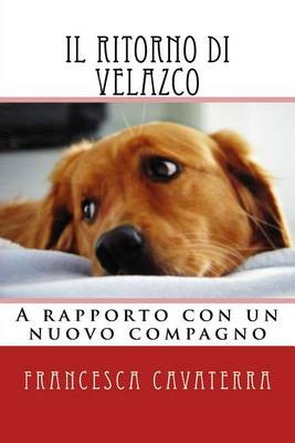 Book cover for Il ritorno di Velazco.