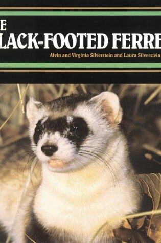 Cover of The Black-Footed Ferret