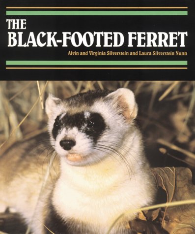 Cover of The Black-Footed Ferret