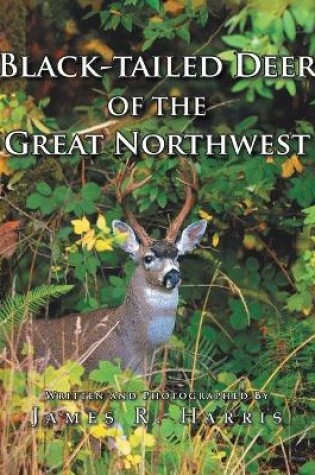 Cover of Black-Tailed Deer of the Great Northwest