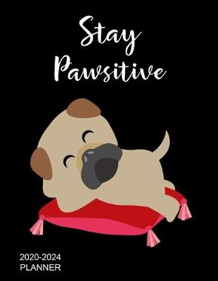 Book cover for Stay Pawsitive