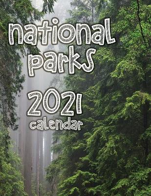 Book cover for National Parks 2021 Calendar