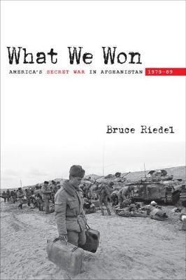 Book cover for What We Won