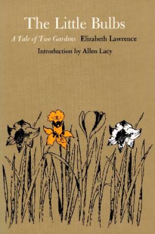 Cover of The Little Bulbs
