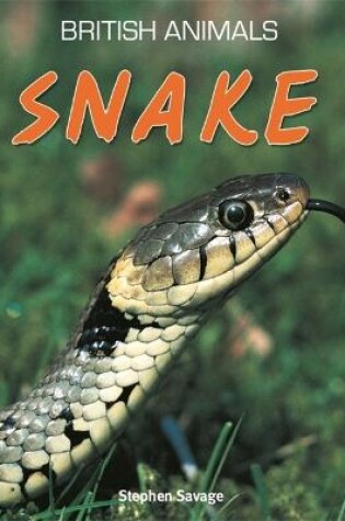 Cover of British Animals: Snake