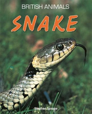 Book cover for British Animals: Snake