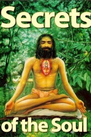 Cover of Secrets of the Soul