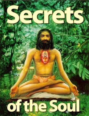 Book cover for Secrets of the Soul