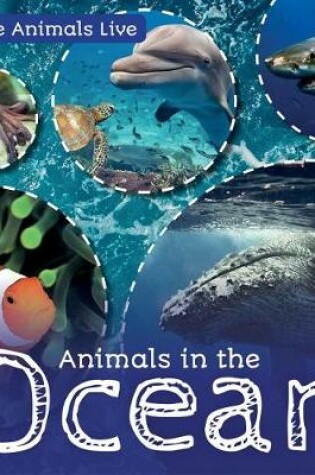 Cover of Animals in the Ocean