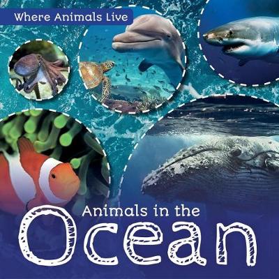 Cover of Animals in the Ocean