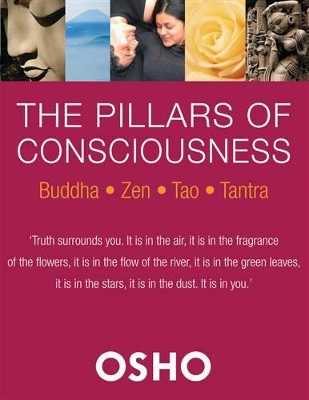 Book cover for The Pillars of Consciousness