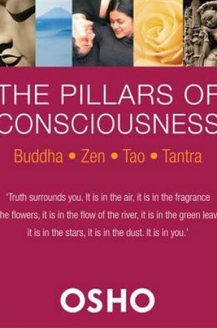 Cover of The Pillars of Consciousness