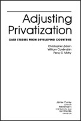 Book cover for Adjusting Privatization