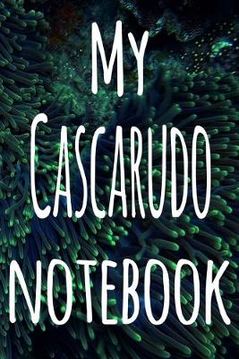 Book cover for My Cascarudo Notebook