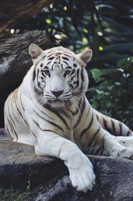 Book cover for Siberian White Tiger Lovers 2020 Weekly Monthly Planner