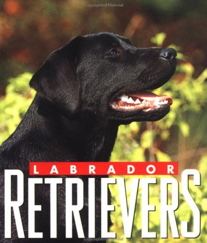 Book cover for Labradors