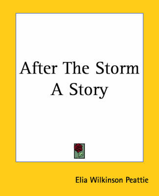 Book cover for After The Storm A Story