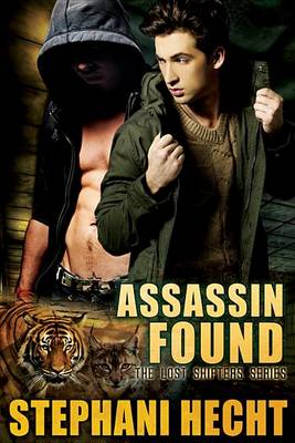 Book cover for Assassin Found