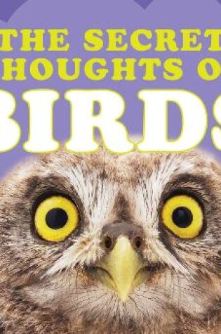 Cover of The Secret Thoughts of Birds