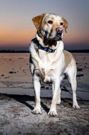 Cover of Yellow Lab Near the Water at Sunrise Journal