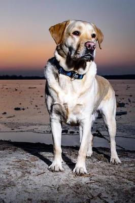 Book cover for Yellow Lab Near the Water at Sunrise Journal